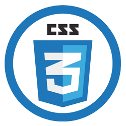 CSS 3